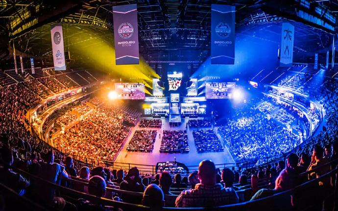 迷的目光 迷的目光