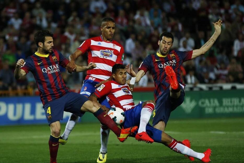 证明了适应 证明了适应